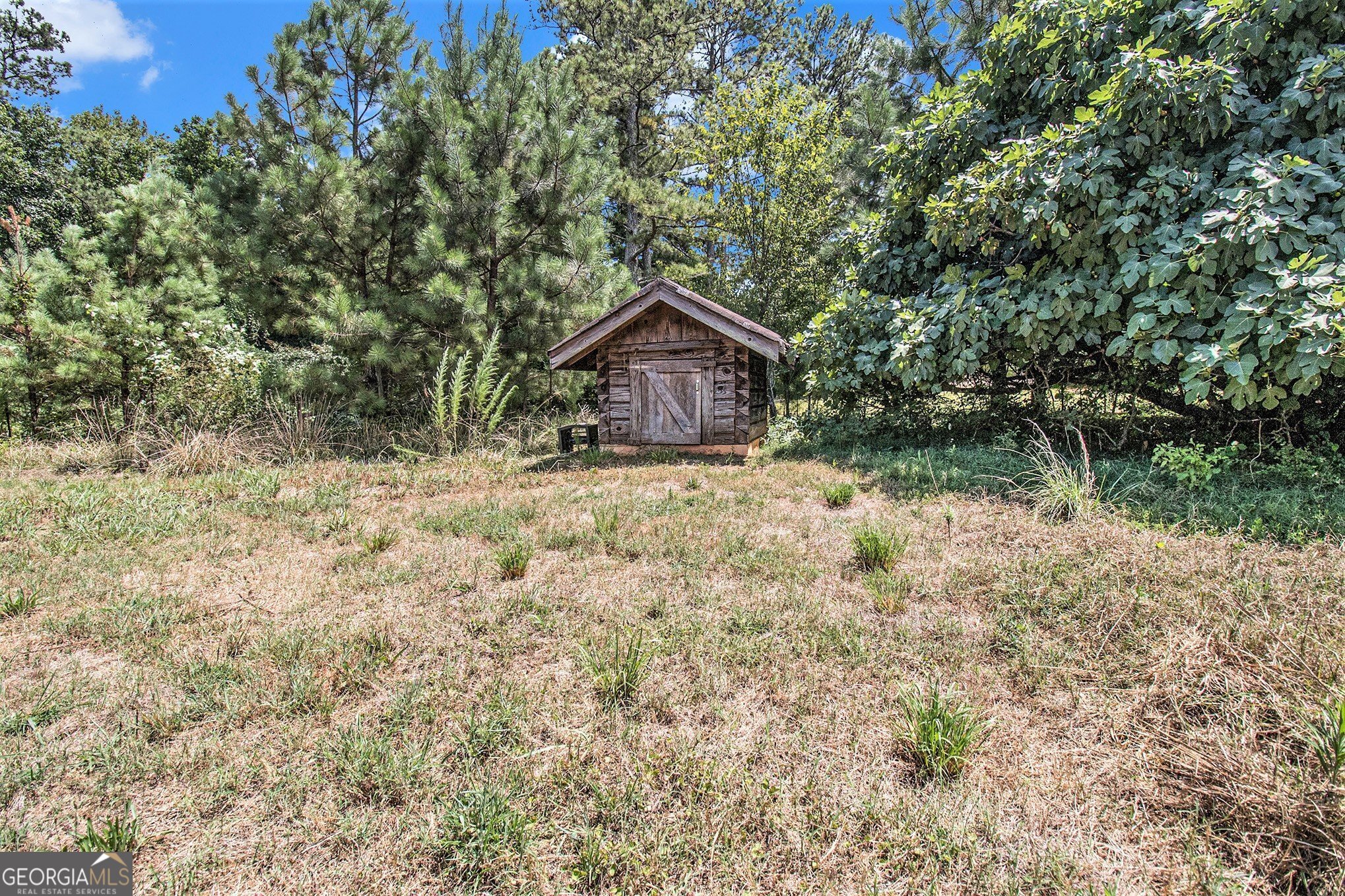 397 Highway 3 Street North Hampton, GA 30228 - Photo 27 of 32