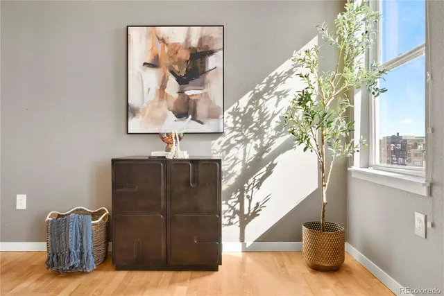 a view of a potted flower in a corridor