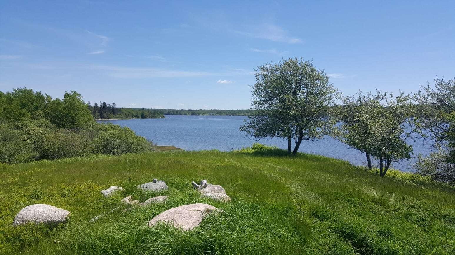 0 Horn Road Harrington, ME 04643 - Photo 17 of 19 20190615_112750