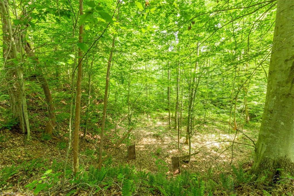 361 Eagle Falls Road Madison, NC 27025 - Photo 45 of 45 Gallery Image 45