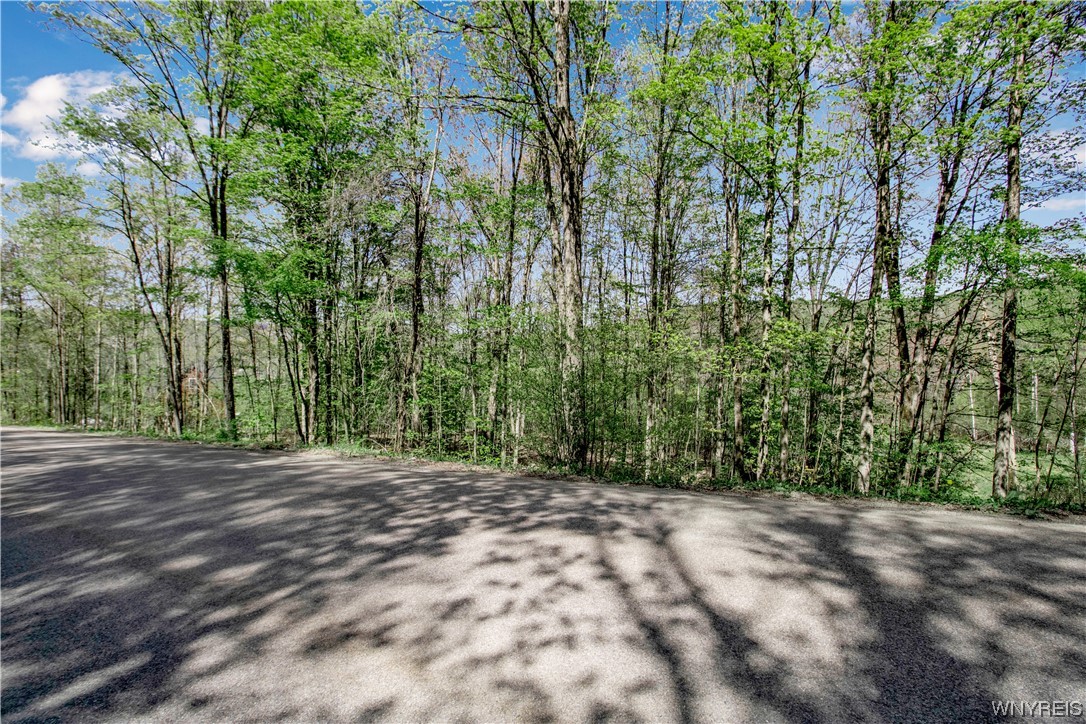 0 Howe Hill Road, Great Valley, NY 14741 Compass