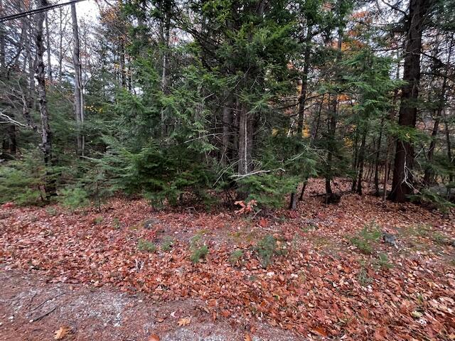 0 Highland Cliff Road Windham, ME 04062 - Photo 2 of 10 IMG_3738