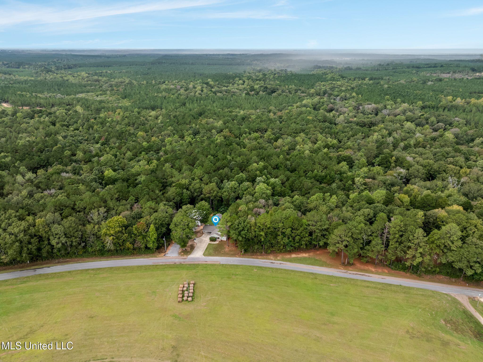 431 Gates Bridge Road Sumrall, MS 39482 - Photo 36 of 38 431_Gates_Bridge_Rd-36