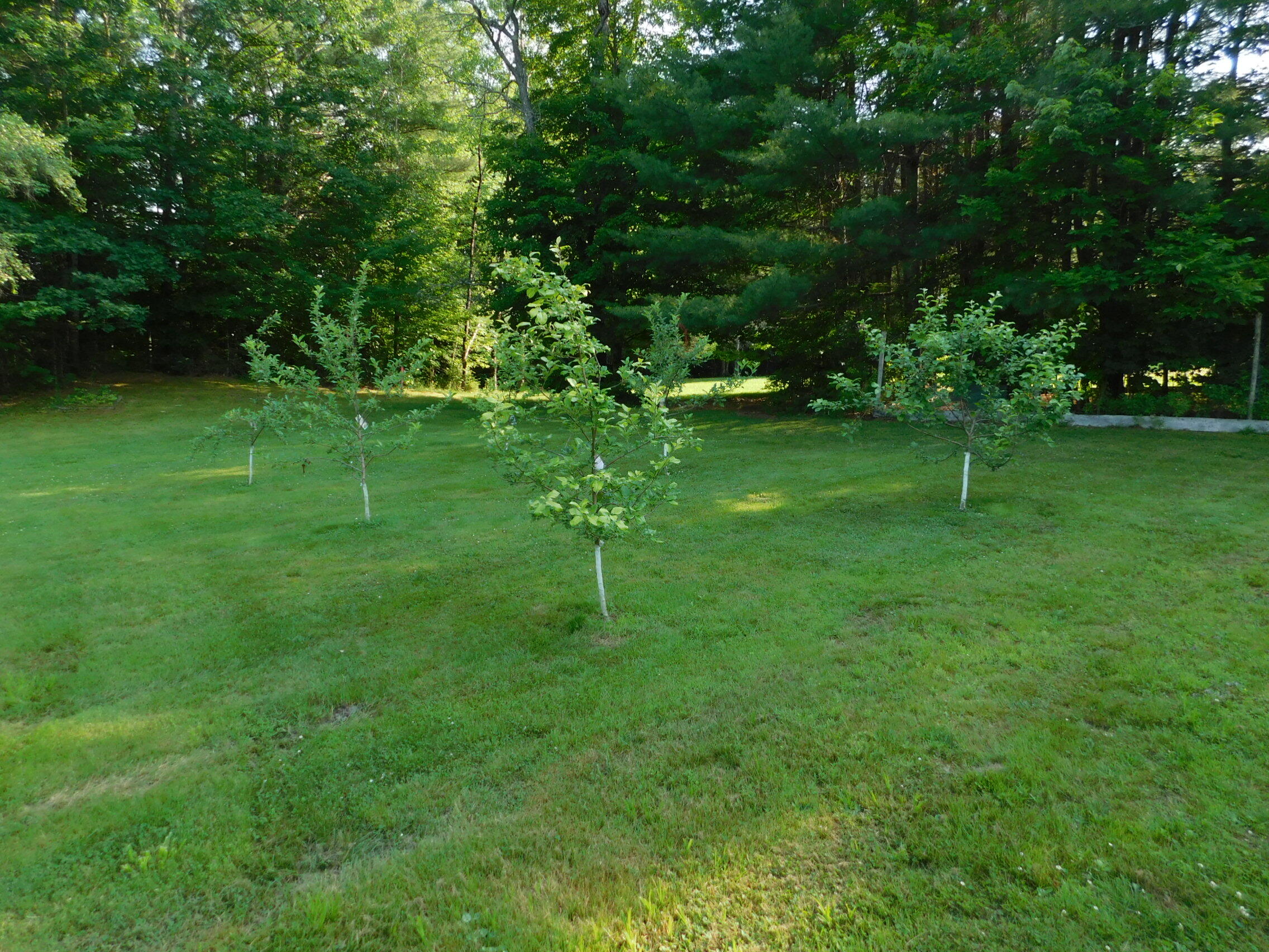 411 White School House Road Madison, ME 04950 - Photo 18 of 40 DSCN3248