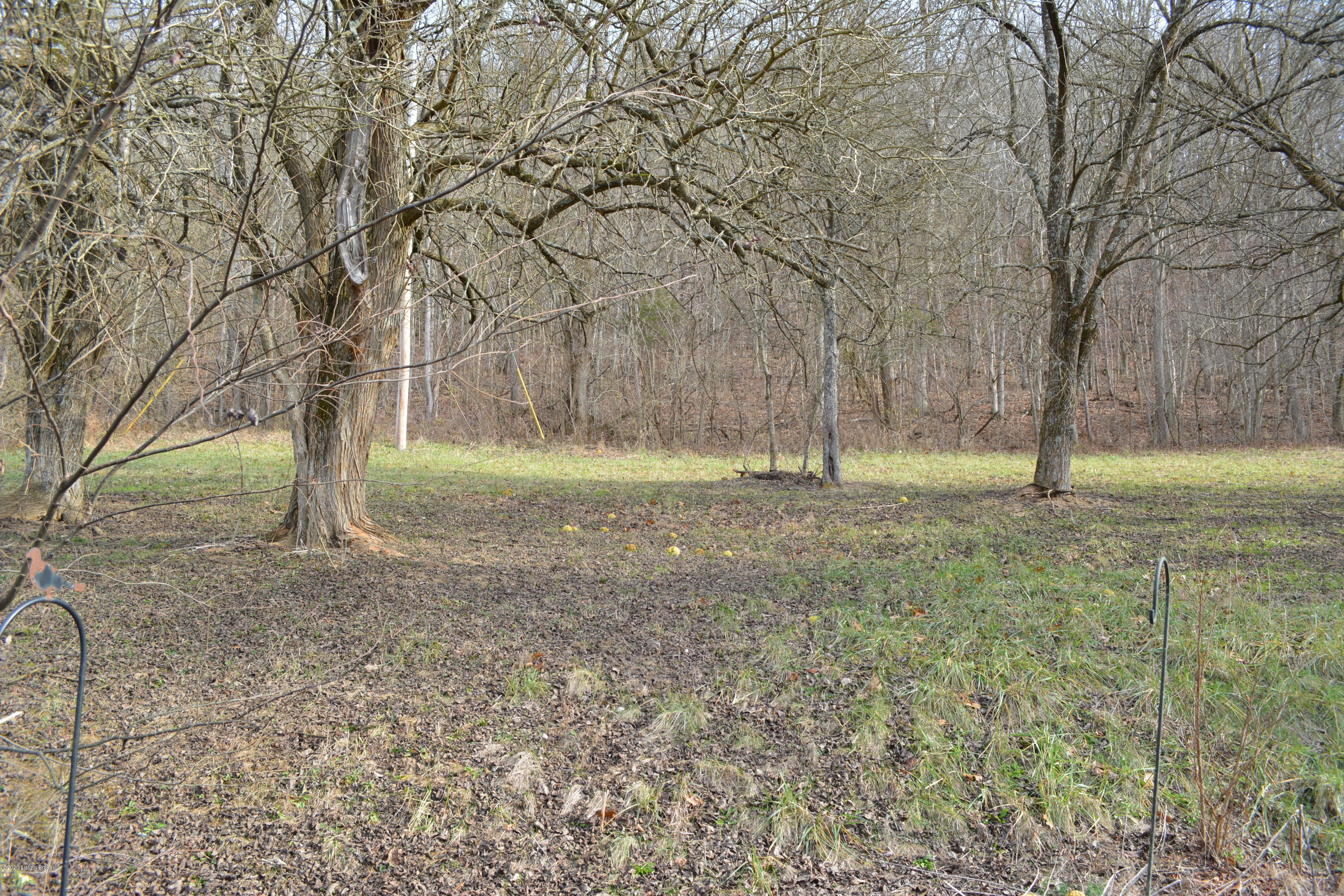 1759 Carlisle Road Carrollton, KY 41008 - Photo 25 of 29 acreage