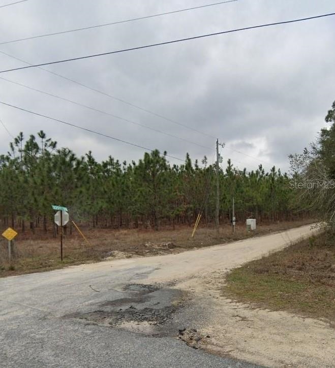 0 225th Road Live Oak, FL 32060 - Photo 11 of 14