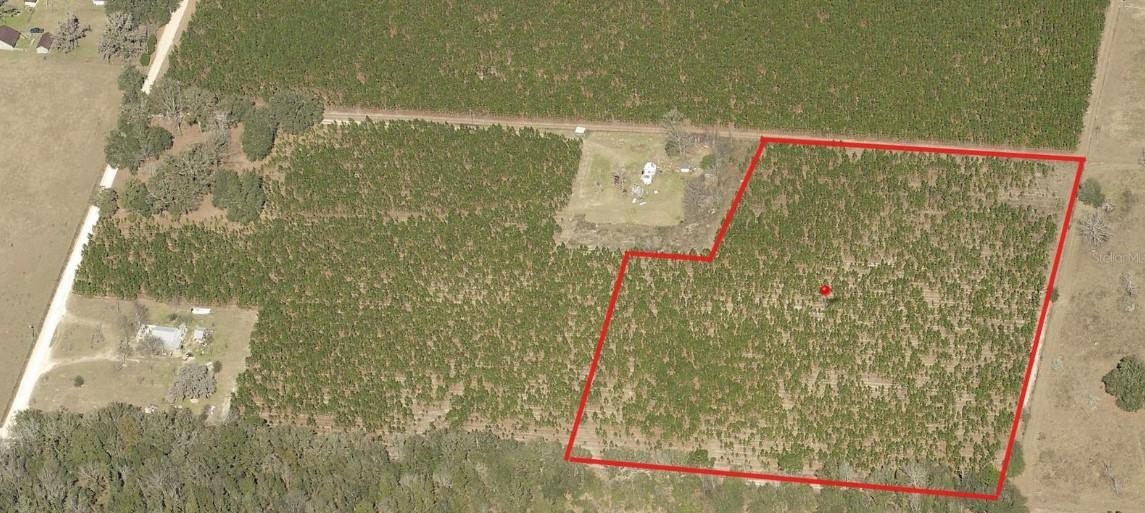0 225th Road Live Oak, FL 32060 - Photo 13 of 14