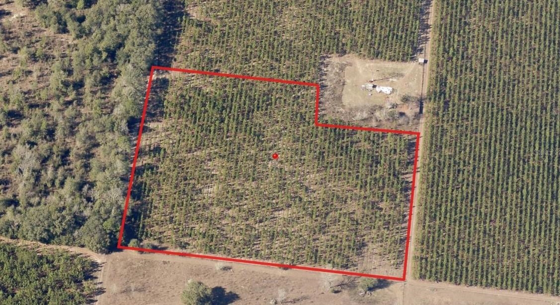 0 225th Road Live Oak, FL 32060 - Photo 2 of 14