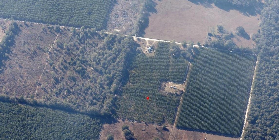 0 225th Road Live Oak, FL 32060 - Photo 3 of 14