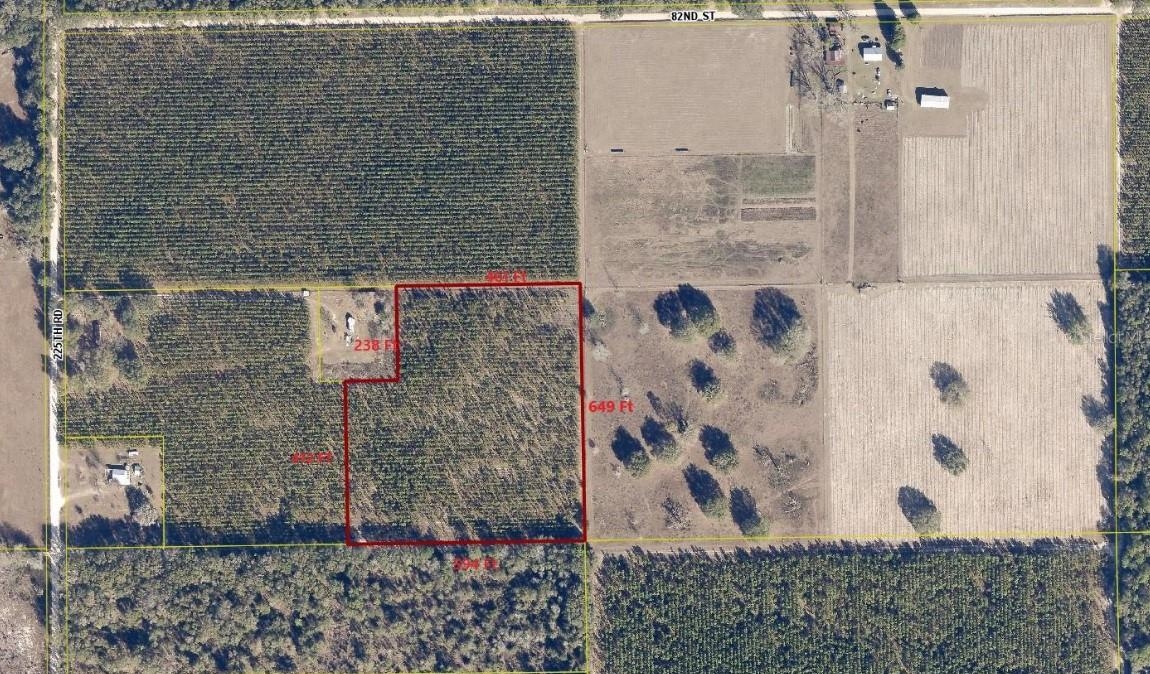 0 225th Road Live Oak, FL 32060 - Photo 6 of 14