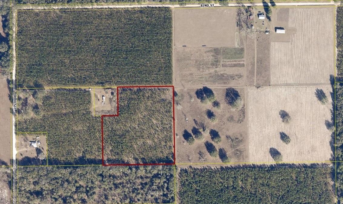 0 225th Road Live Oak, FL 32060 - Photo 9 of 14