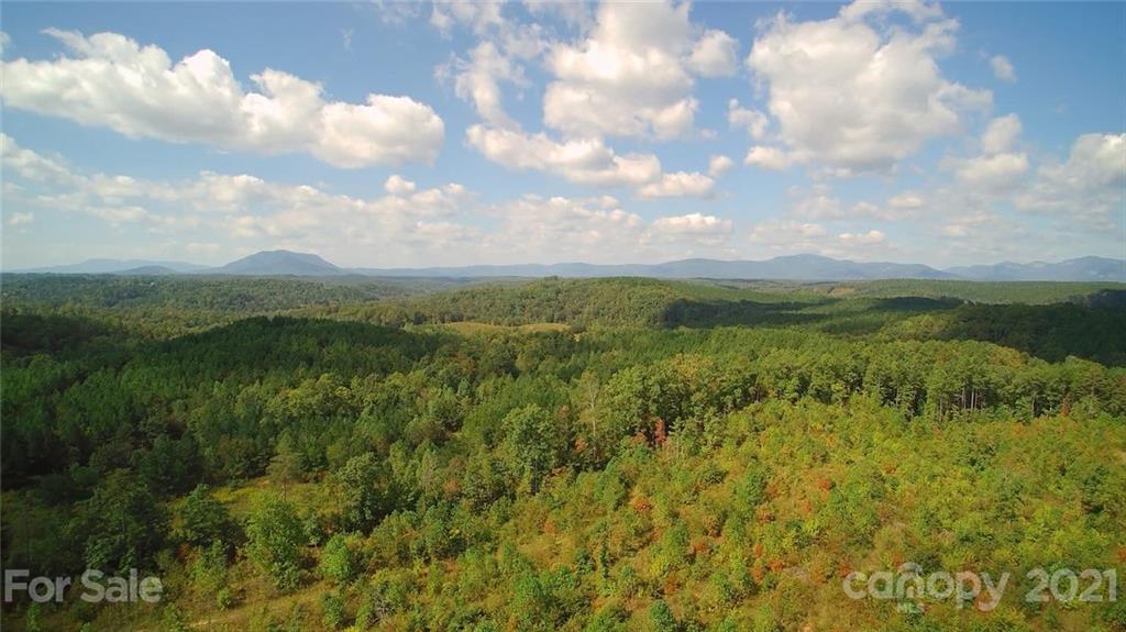 2680 Polk County Line Road Rutherfordton, NC 28139 - Photo 1 of 38 a view of a lake with a big yard