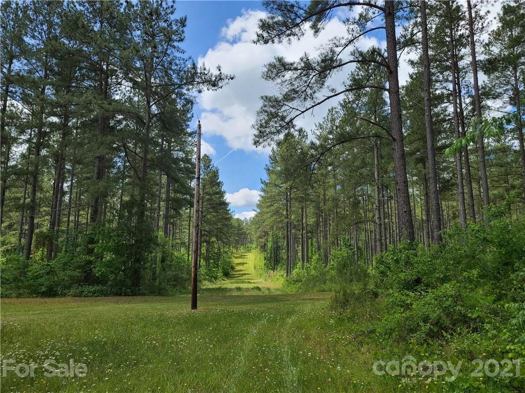 2680 Polk County Line Road Rutherfordton, NC 28139 - Photo 3 of 38 a view of a park with large trees