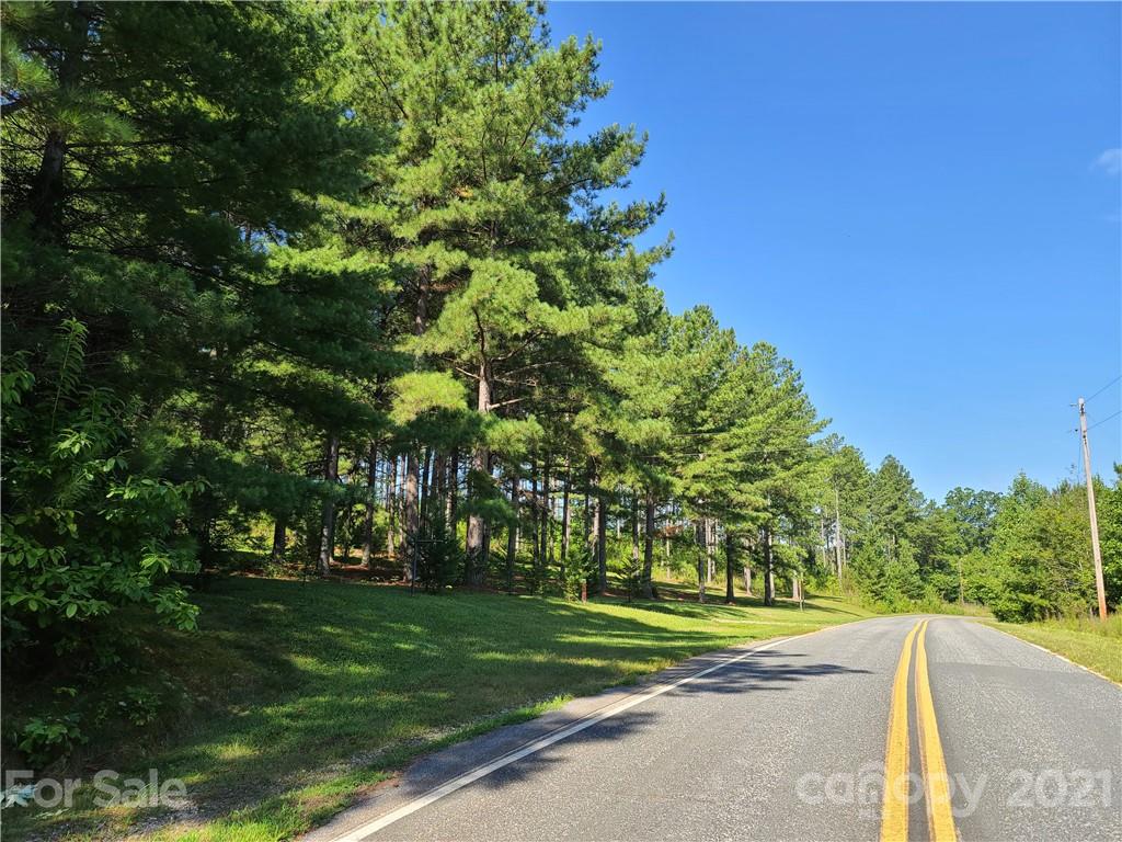 2680 Polk County Line Road Rutherfordton, NC 28139 - Photo 4 of 38 a view of a park with large trees