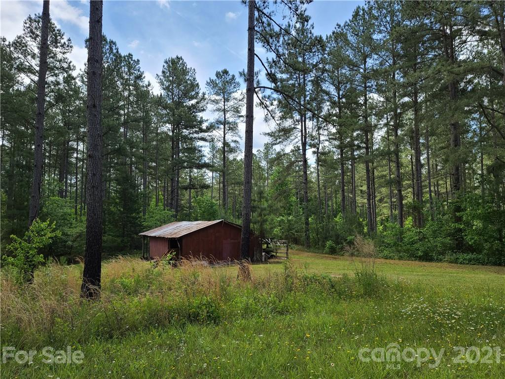 2680 Polk County Line Road Rutherfordton, NC 28139 - Photo 34 of 38 a view of outdoor space and yard