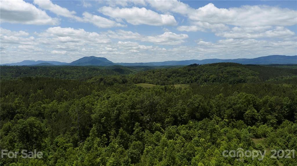 2680 Polk County Line Road Rutherfordton, NC 28139 - Photo 38 of 38 a view of a city and mountains