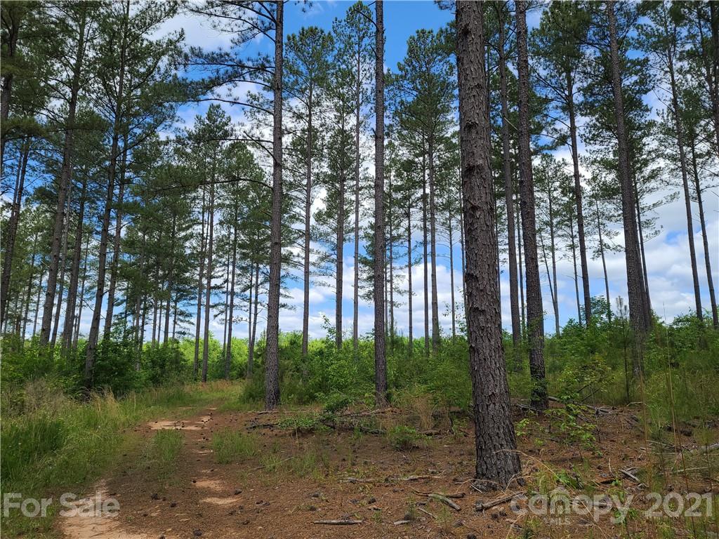 2680 Polk County Line Road Rutherfordton, NC 28139 - Photo 7 of 38 a view of a park with large trees