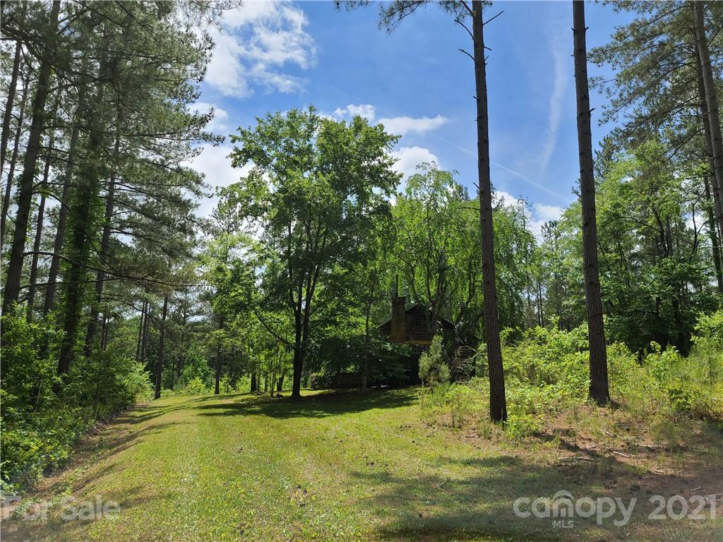 2680 Polk County Line Road Rutherfordton, NC 28139 - Photo 8 of 38 a view of a yard with a tree