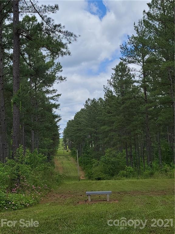 2680 Polk County Line Road Rutherfordton, NC 28139 - Photo 9 of 38 a view of a grassy field