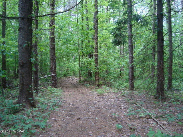 1000 Quaker Church Road Muncy, PA 17756 - Photo 5 of 5 Improved Trail/ Logging Road