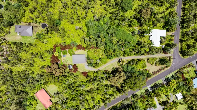 a balcony with lots of tree
