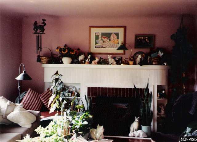 765 Bates Avenue Reno, NV 89502 - Photo 9 of 9 a living room with furniture