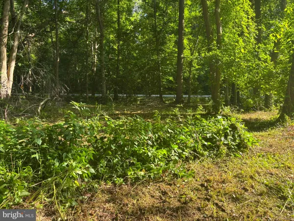 $61,000 | 0 Misty Way, Hartly, DE 19953