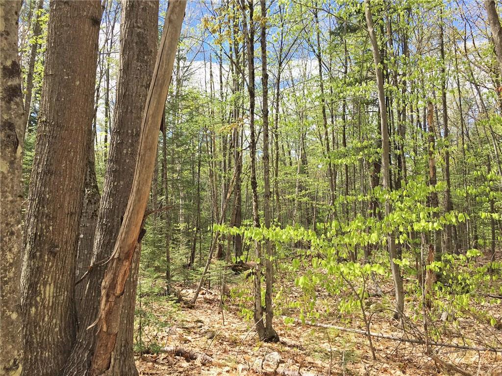Lot 25 Grantwood Ridge Road Oakland, ME 04963 - Photo 6 of 6 Nice Sunny Property