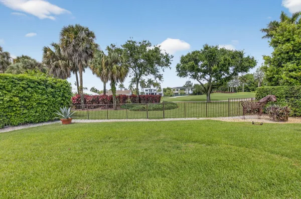 a view of a park and trees