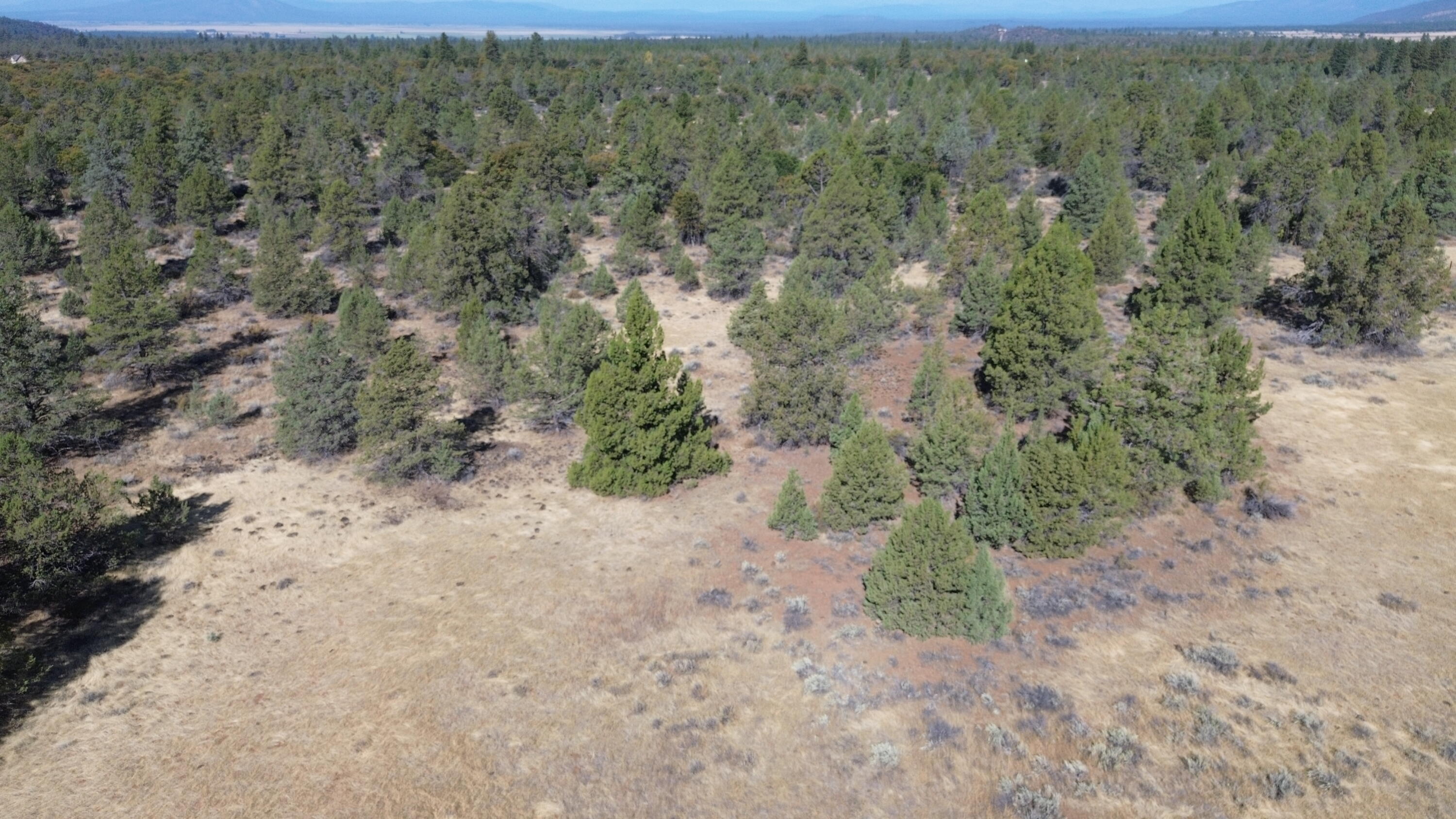 Nsa Old Hwy Road McArthur, CA 96056 - Photo 8 of 21 DJI_0397