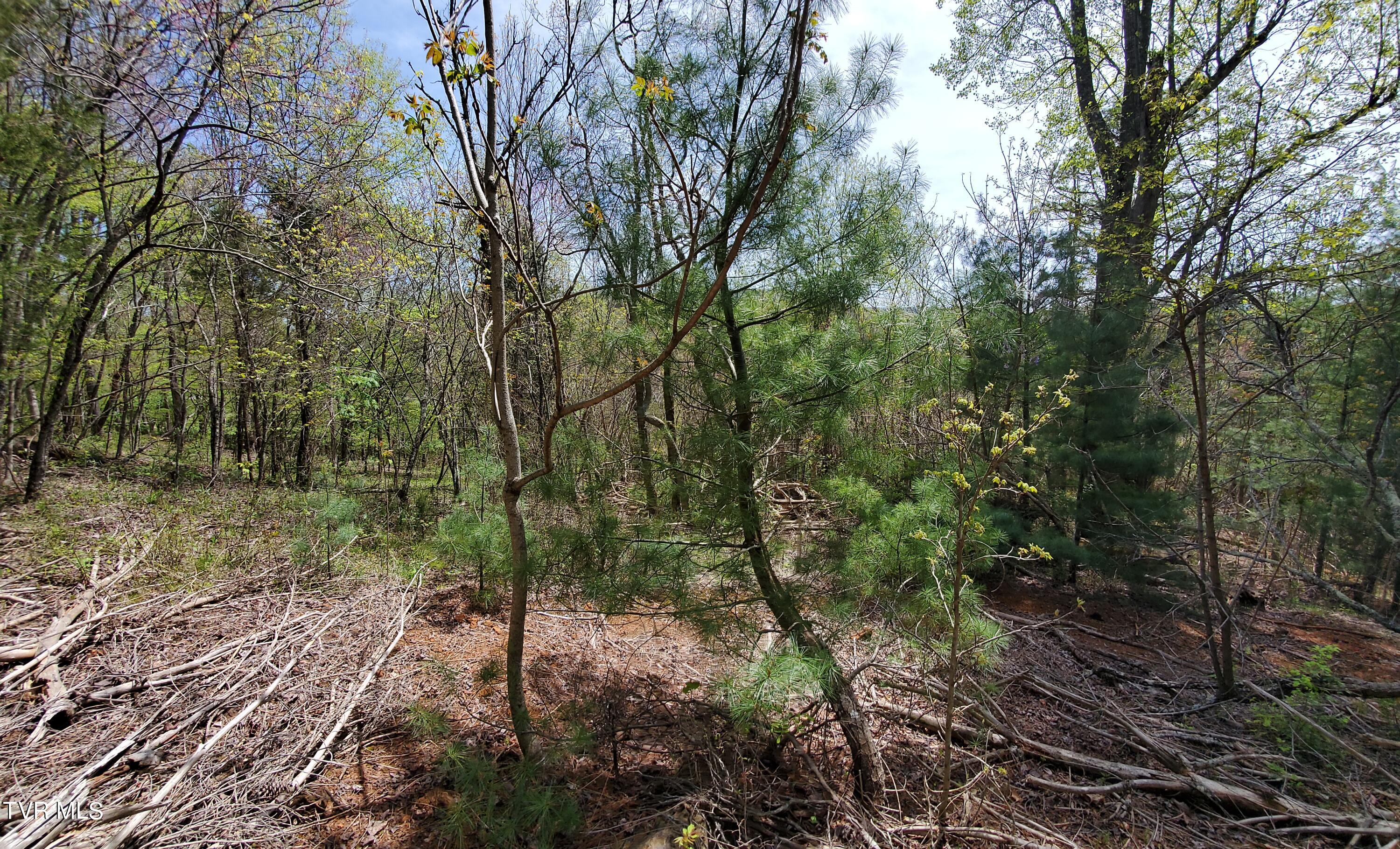 Lot 40 Cowan Town Road, Unit 40 Butler, TN 37640 - Photo 46 of 117 Interior