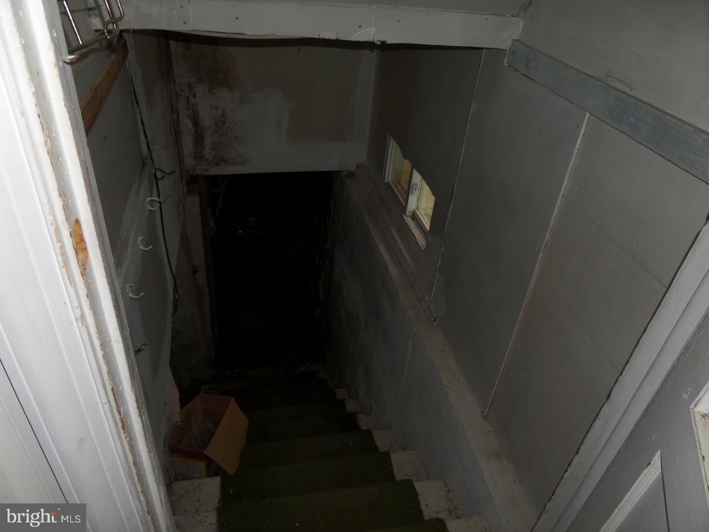 236 Sylvan Avenue Rutledge, PA 19070 - Photo 24 of 24 Basement