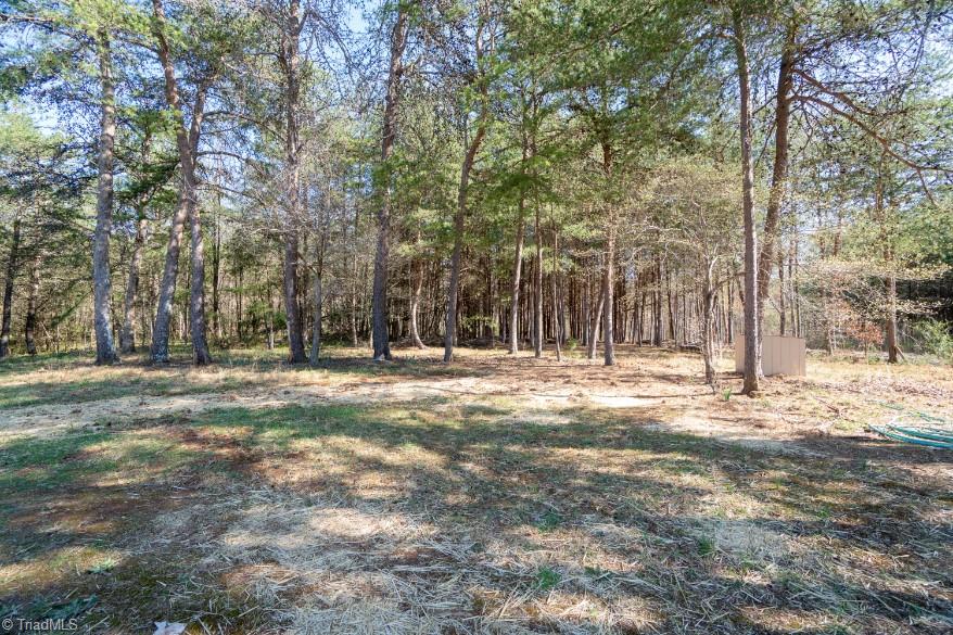 5716 Rena Road Hamptonville, NC 27020 - Photo 29 of 29 Gallery Image 29
