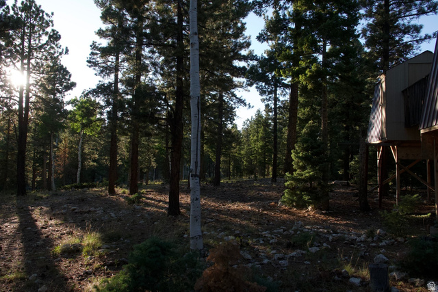 140 East Rim Road Duck Creek Village, UT 84762 - Photo 26 of 45 View of woods