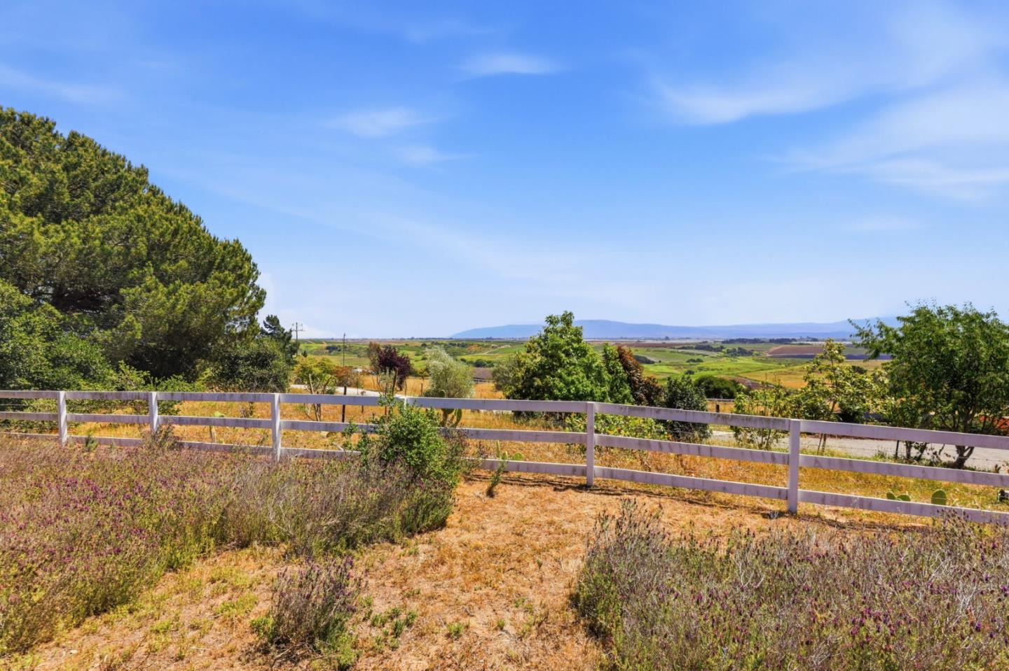 16290 Blackie Road Salinas, CA 93907 - Photo 6 of 50