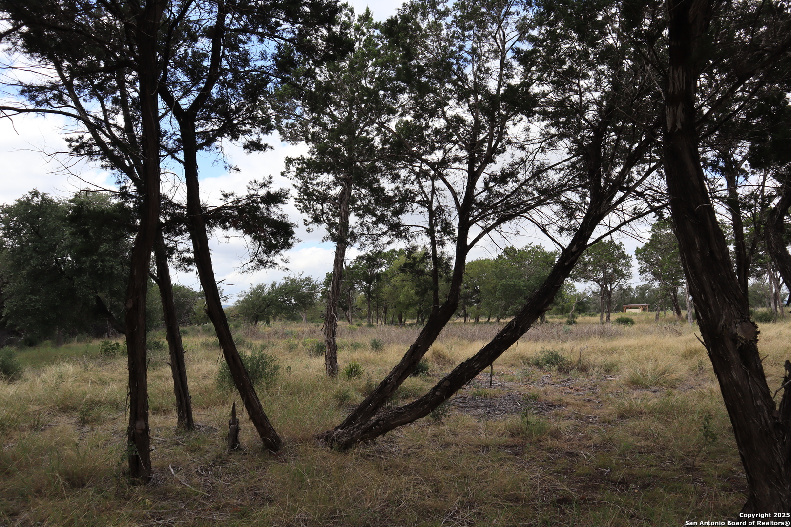 0 English Pipe Creek, TX 78063 - Photo 1 of 14