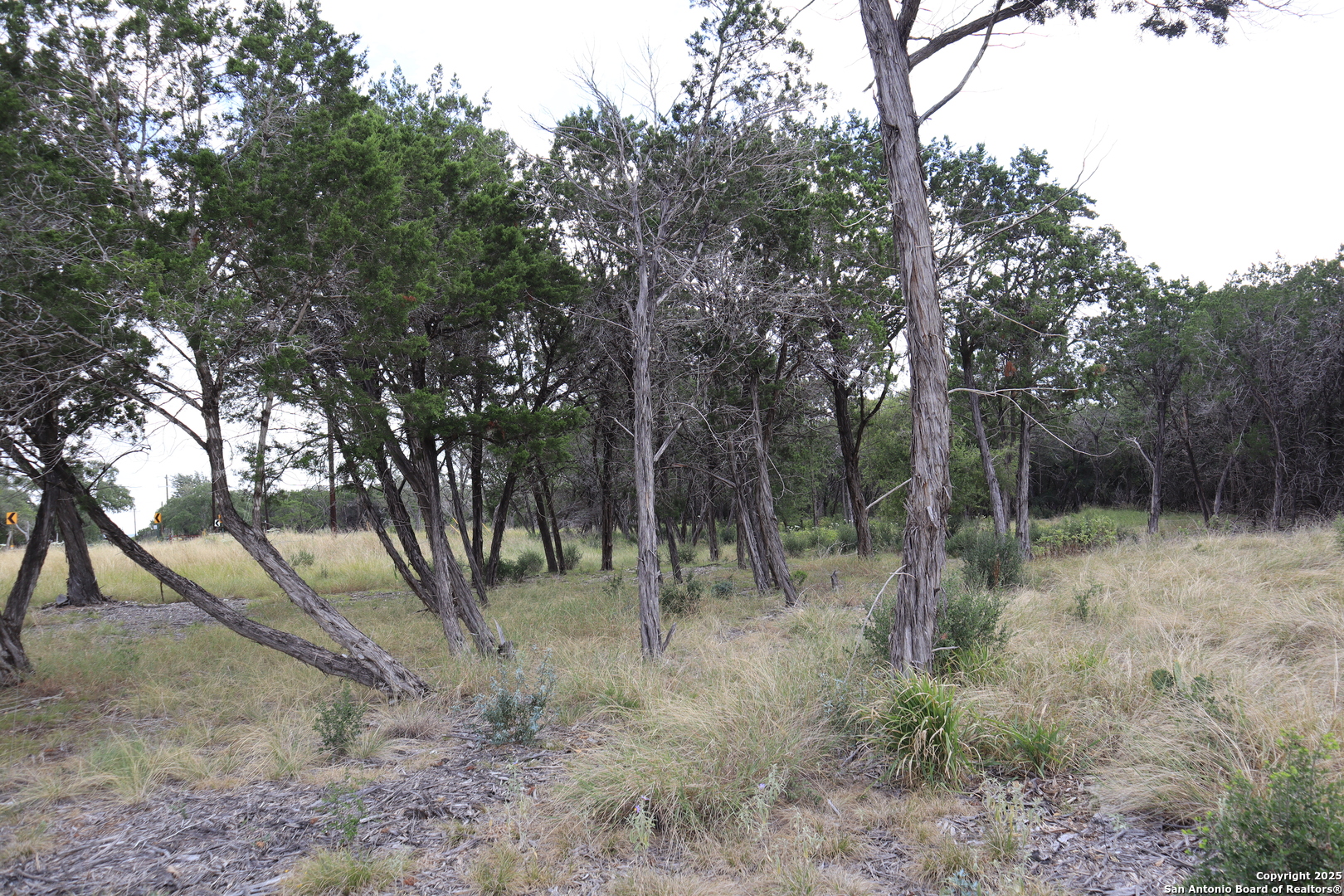 0 English Pipe Creek, TX 78063 - Photo 3 of 14