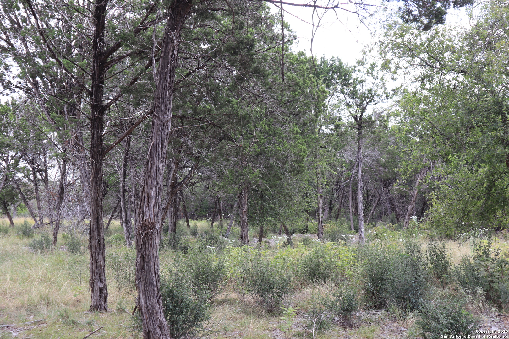 0 English Pipe Creek, TX 78063 - Photo 7 of 14