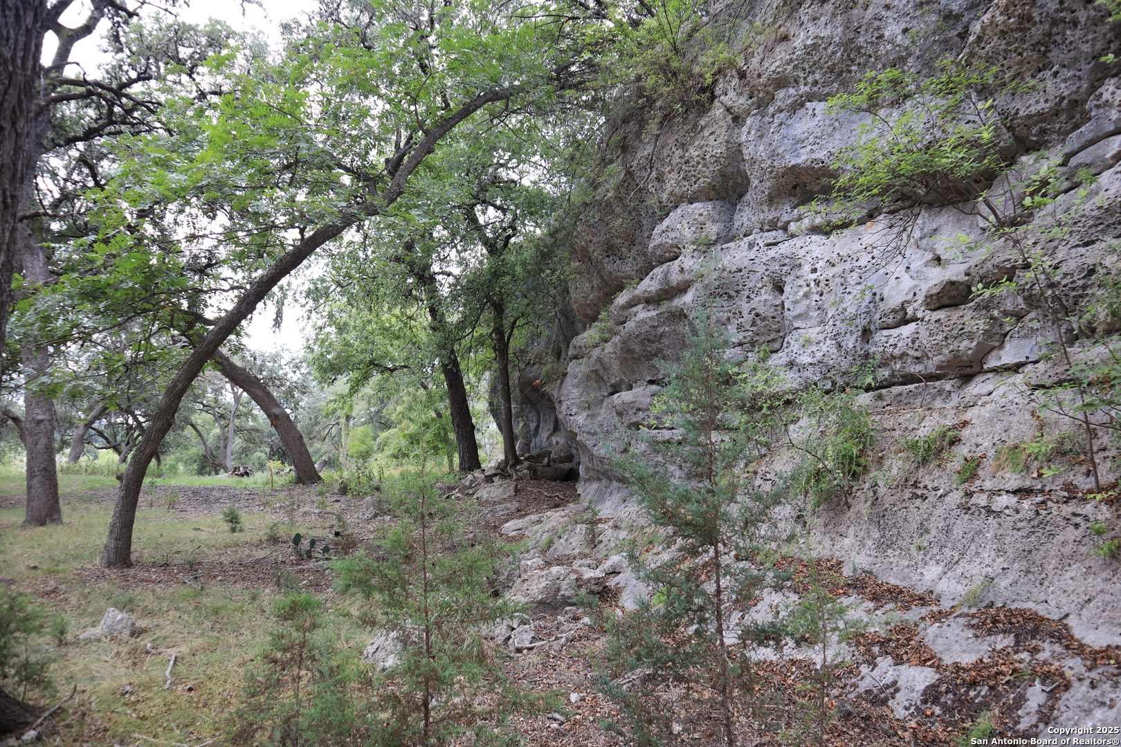 0 English Pipe Creek, TX 78063 - Photo 9 of 14