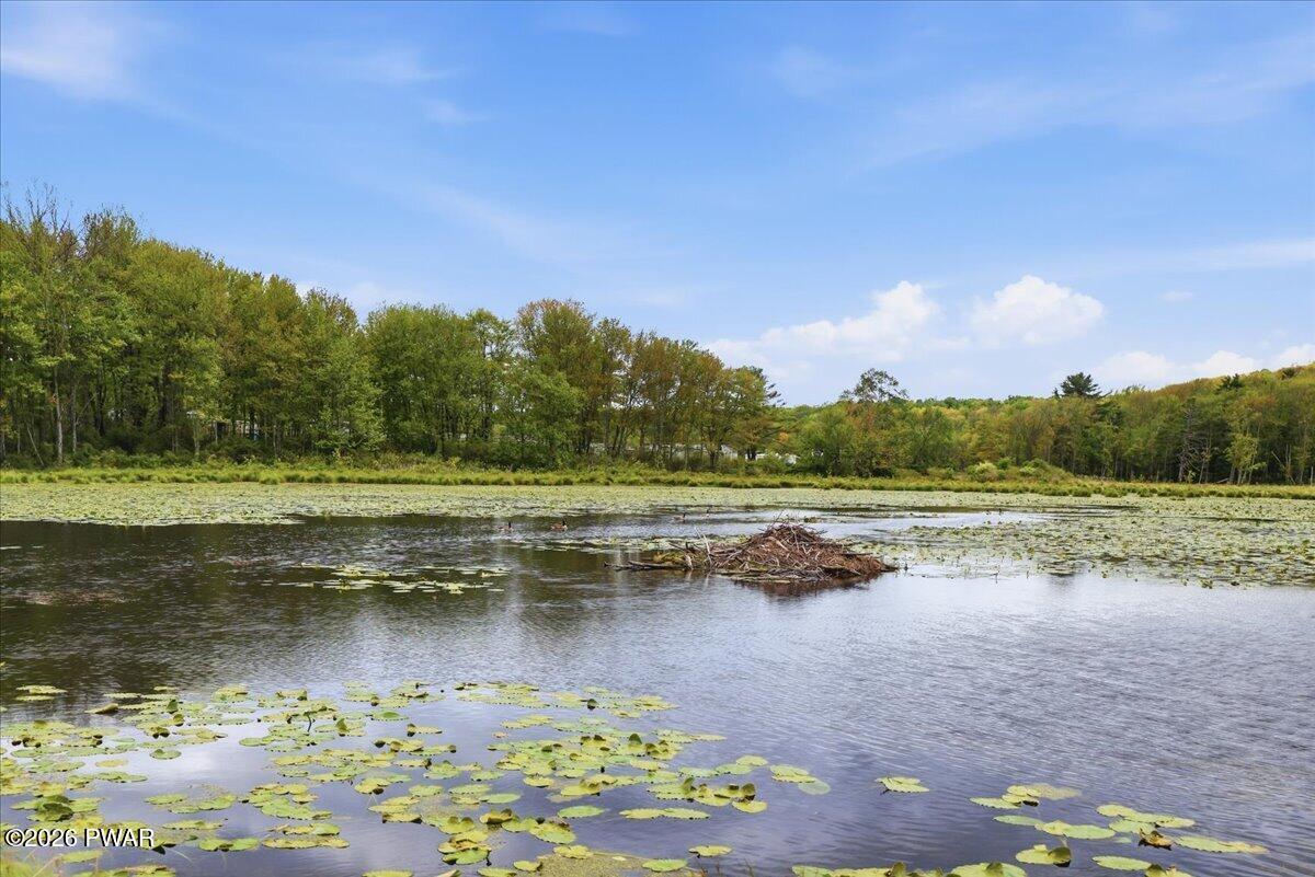 103 Forever Green Road Lakeville, PA 18438 - Photo 41 of 179
