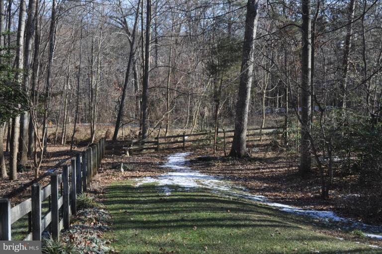 1507 Elk Point Drive Reston, VA 20194 - Photo 2 of 25 Wooded View / Acreage