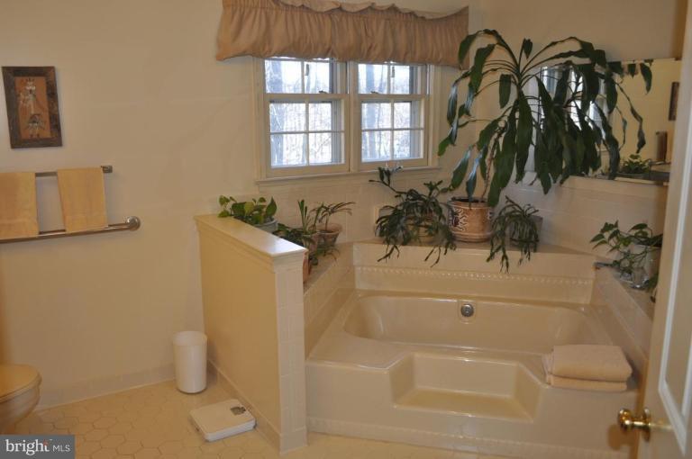 1507 Elk Point Drive Reston, VA 20194 - Photo 11 of 25 Master Bath