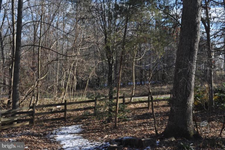 1507 Elk Point Drive Reston, VA 20194 - Photo 19 of 25 Wooded View / Acreage 2