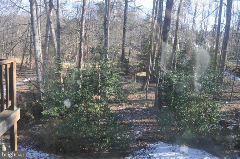 1507 Elk Point Drive Reston, VA 20194 - Photo 24 of 25 Deck - View from