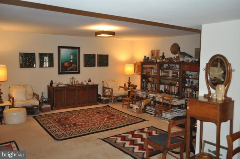 1507 Elk Point Drive Reston, VA 20194 - Photo 10 of 25 Basement #2