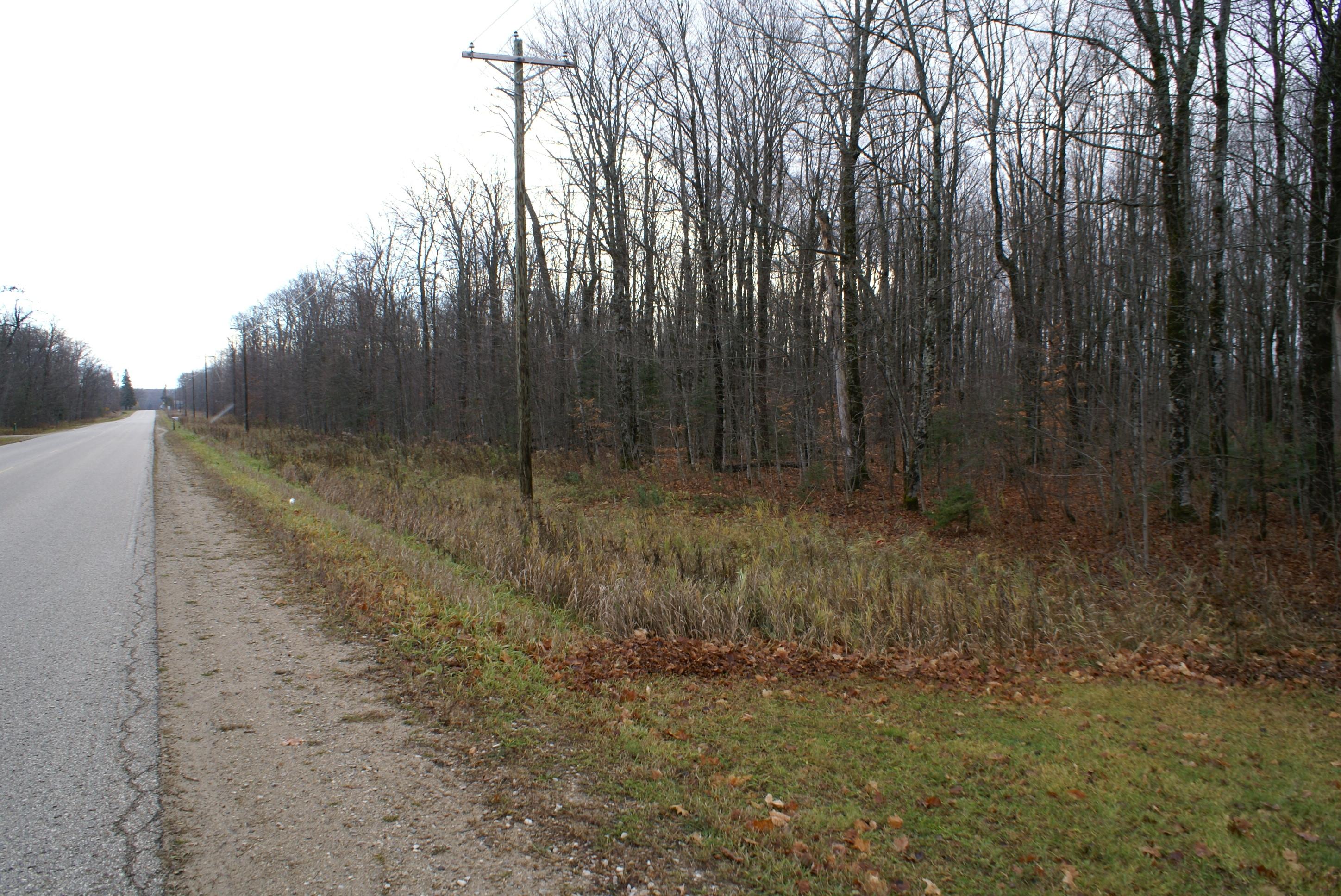 100-ac Saint Ignace Road Hessel, MI 49745 - Photo 4 of 8 Gallery Image 4