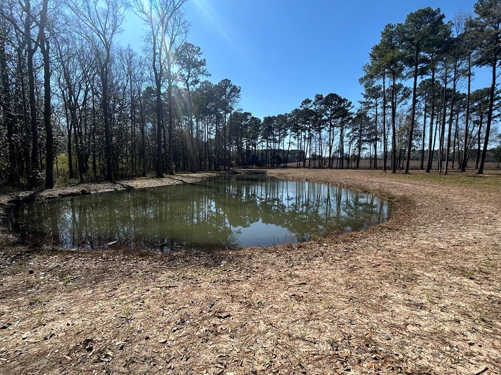 15-ac Webb Road Dothan, AL 36301 - Photo 33 of 33