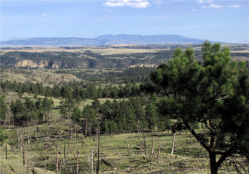 Nhn Nhn Wild Turkey Ridge Road Columbus, MT 59019 - Photo 4 of 47 Gallery Image 4