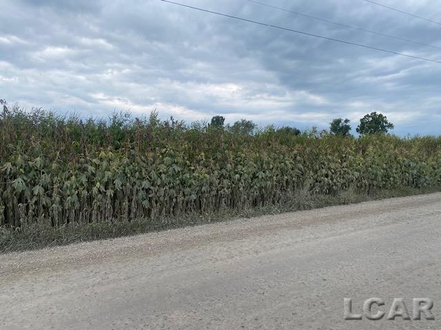 0 Mccullum Road Saline, MI 48176 - Photo 1 of 4 50187632-65842dfd-e74d-4545-a7c6-2df1589f9899.JPG