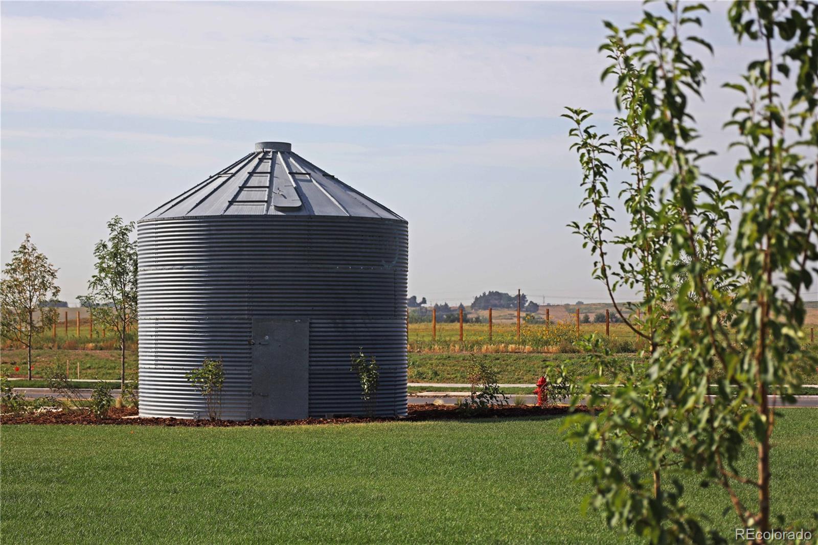 739 Ayrshire Road Johnstown, CO 80534 - Photo 24 of 29